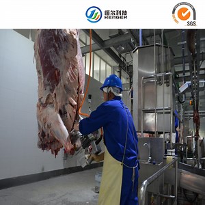 [Hot Item] Henger Halal Slaughterhouse Cow Slaughtering equipment for Cattle Sheep Goat