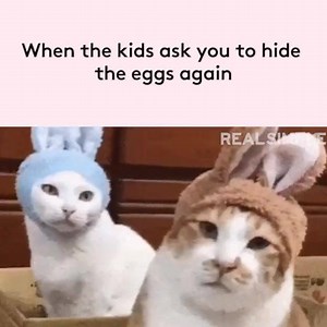 136K views · 2K reactions | No, I think once was enough. | Real Simple | Facebook