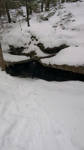 5.6K views · 32 reactions | The cave I can crawl back to!!! 2 2 25, Cow Cave #cowcaves #NewHampshire #caves #cave | The Nature Nomad | Facebook