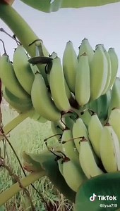 65K views | GPC Health on Reels | Facebook