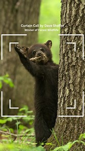 622 reactions · 124 shares | Calling all #photographers: Our 2024 Forests in Focus Photo Contest is officially LIVE! Learn more about how to enter! #ForestsInFocus | American Forests | Facebook