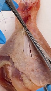 543K views · 314 reactions | Chicken drumstick stitching up!  | Craft Factory | Facebook