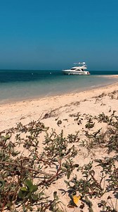 181K views · 14K reactions | La playa de la Isla de Enmedio es una chulada. Arena clara y aguas cristalinas que te invitan a quedarte y regresar. #Veracruz | Love Veracruz | Facebook