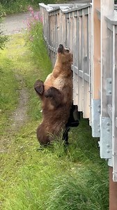 8.6K views · 274 reactions | Hard to reach places… How cute is the...