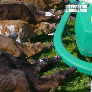 224K views · 1.7K reactions | This machine is ideal for feeding hungry calves their milk. #engineering | Interesting Engineering | Facebook