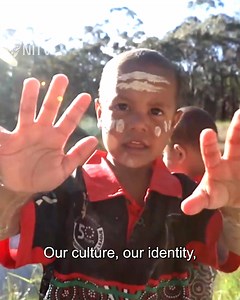 'It's about getting access to our land': Anaiwan Traditional Owners prepare to buyback part of their Country | NITV