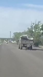 Get Raw Milk on Reels