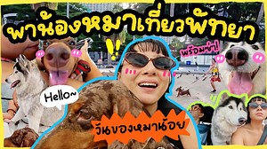 พักผ่อนที่ไม่ได้พักผ่อน Basaya Beach Hotel & Resort | Supanaree story