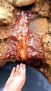 2.8K views · 89 shares | #viral Gold mines ✨️   | Joseck Momanyi | Facebook