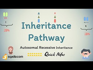 Autosomal Recessive Inheritance - Inheritance Pathway
