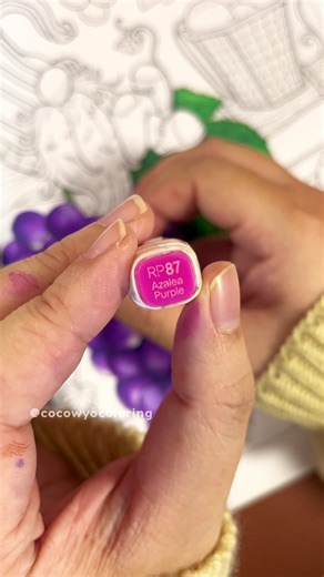 How I Color Grapes with Markers! Making grapes more vibrant with delicate coloring. 🍇🌟 In this video I used: -Touch twin markers: Dark blue light (PB75), Light violet (P82), Blue Berry (PB273), Fruit Pink (R28), Azalea Purple (RP87) This page is part of "Enchanted Gnomes" Coloring Book, available on Amazon. Don’t miss this opportunity to embark on a soothing coloring journey. Get your copy now and experience the therapeutic magic of coloring. 💫 Don't forget to use our hashtags #cocowyocolorin