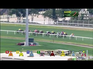 Seasons Bloom lands the Stewards’ Cup