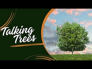 The Secret Language of Trees: How They Communicate!