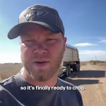 We're back to chopping silage on the farm! | Peterson Farm Bros