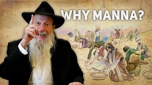 The manna fell for the 40 years that the Israelites were in the desert. They fed on it during the day, and at night it disappeared. What is the deep meaning of this phenomenon? – listen to the explanation by Rabbi Tuvia Bolton. | Moment Of Wisdom