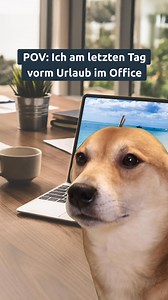 Heute noch im Office, morgen schon im Urlaub! ☀️💻 #jetset #hund #ooo #urlaub #wegde | weg.de