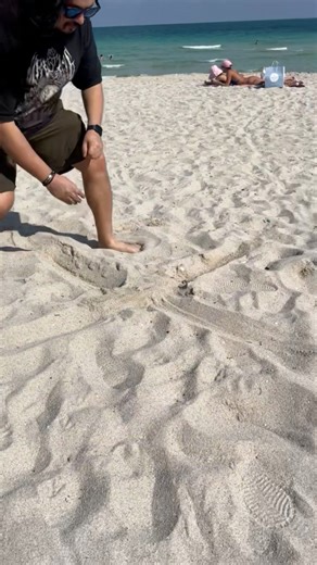 Pro Wrestling Tees on Reels