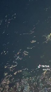 1.8K views · 28 reactions | ☠️ | Boca Chica Beach Legends | Facebook