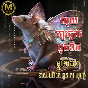 5.2K views · 847 reactions | ស៊ែរចេញជាបន្ទាន់ ឆ្នាំទាំង៦  លុយហូរចូលដូចទឹក ជួបតែលាភសំណាង | MINI Shop | Facebook