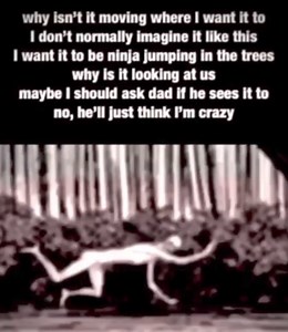 Florida Anomaly Investigation Station on Reels