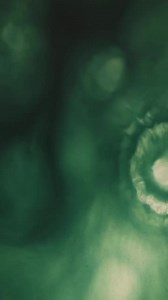 13 reactions | 珞 Happy weekend, friends! Green Mist 762 *** ◨▲G...