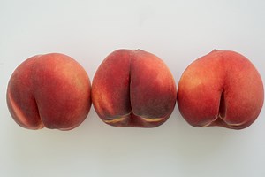 The Science on Anal Pleasure Is In (But Not All the Way)