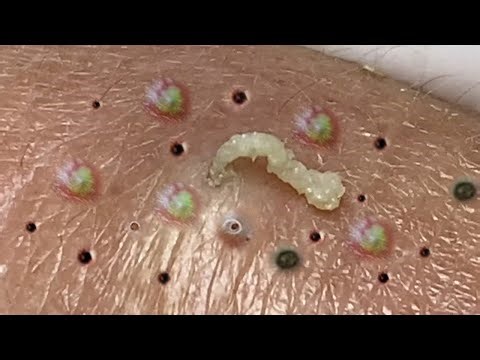 𝐁𝐞𝐚𝐮𝐭𝐲 𝐅𝐨𝐫 𝐄𝐯𝐞𝐫𝐲𝐨𝐧𝐞 𝐈𝐬 𝐖𝐡𝐚𝐭 𝐈 𝐋𝐢𝐤𝐞 | 4314