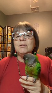 Today's cards come from the Everyday Witch Tarot deck. #crystalhealing #tarot #tarotcards #tarotreading #crystals #healingcrystals #healing #wicca #cardoftheday #DevrasEnchantments #everydaywitchtarot | 핯햊햛햗햆'햘 핰햓했햍햆햓햙햒햊햓햙햘 | Facebook