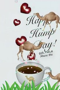 Happy Hump Day | Gifs, Vids & Music Etc