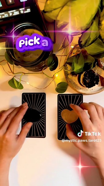 Mystic Paws Tarot | Tarot on TikTok