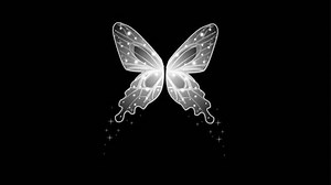 Wings Background 2d Animation Stock Footage Video (100% Royalty-free) 1103957743 | Shutterstock