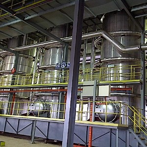 [Hot Item] 1tph Complete Palm Oil Production Line Automatic Palm Oil Extractor Mill Palm Oil Press Line for Industrial Use