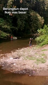 2.1K views · 29 reactions | Rejeki nomplok mancing dapat ikan mas #mancingdisungai #mancingikan #umpanmancing #mancingmania #mancinguceng #mancingikanbesar | Mancing Uceng | Facebook