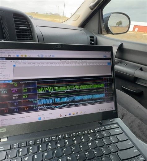 Lonestar Hawaiian on Reels