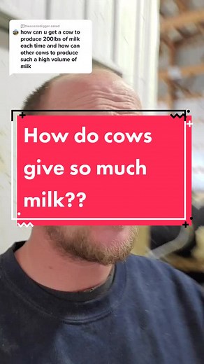 The Secret Behind Cow Milk Production