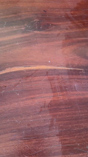 Oregano Have Roots After Grow In Water #reelsviralシ #fypシ゚viralシ #fypシ゚viralシ2023 #reelsfbシ #fbreels #fypviralシ #reelsviralfb #reelsindia #reelsfypシ #reelsvideo #Technology #teacher #tips #tbt #reelsviralシ #reelfb #relax #relaxing #texas #trend #trending #trendingvideo #trendingreels #relationship #Toyota #today | Dana Plants