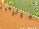 Smarty Jones - 2004 Southwest Stakes