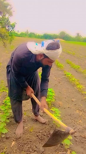 Traditional Farming Techniques in Rural Settings