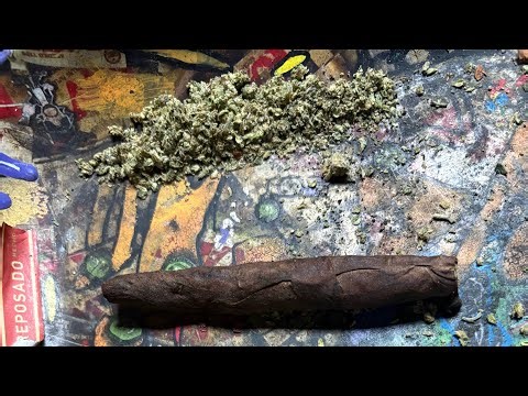 How To Roll A Backwood 💨