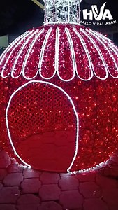 Visita Almoloya Hidalgo. #navidad #hazloviralapan #vivealmoloya #parati #Hidalgo #HazloViral #videosvirales #mexico #fiestasdepueblo | Hazlo viral Apan