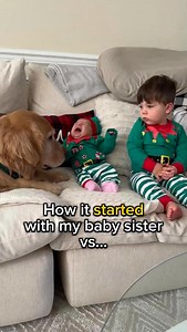 47K views · 1.8K reactions | Still giving kisses and still the best of friends. 凉❤️ #bestiesforever #christmaskisses #christmastime #dogchristmas | Hudsonbegood | Facebook