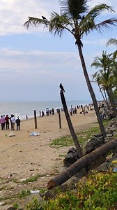 ബീച്ചിലെ നോമ്പുതുറക്കൽ... #beach #BeachLife #kerala #malappuram | Nizhalum Nilavum