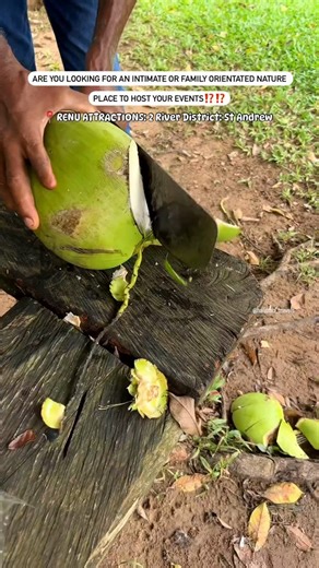 21K views · 177 reactions | It's Friday Discover beauty this island  : @halimah_travels | Jamaica Experiences | Facebook