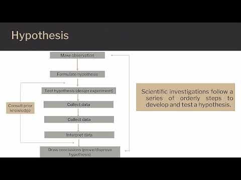 Designing a Hypothesis