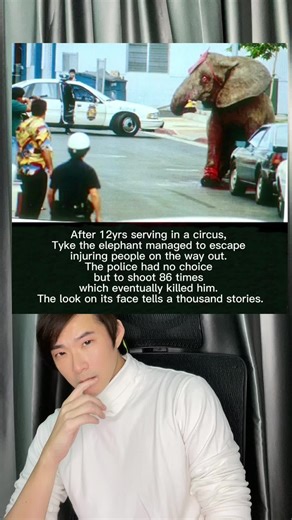 Remembering Tyke: The Elephant's Heartbreaking Story