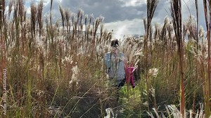 Na Pali Coast. Exotic travel. Young blonde woman in a romantic white sundress slowly walks through thickets of dry herbs. Stops and looks on a stunning view of the ocean under a beautiful cloudy sky.