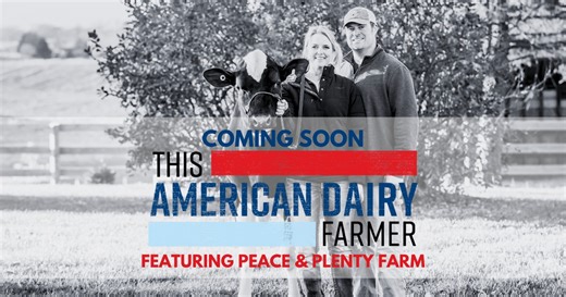 In our next episode of This American Dairy Farmer, we meet The Schwartzbecks, whose shared passion for cow show competitions at the Maryland State Fair also bound the couple for life. ❤️️ Watch their episode right here on July 24! #thisamericandairyfarmer #tadf Maryland & Virginia Milk Producers Cooperative Association | American Dairy Association North East