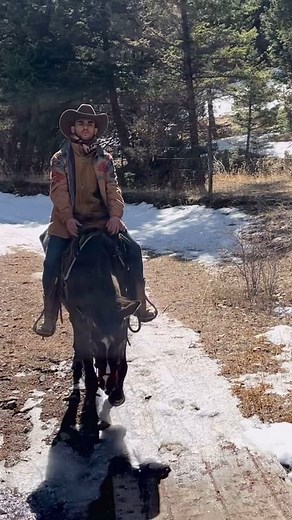 First time passing a bridge for this Mustang Première fois sur un pont pour ce mustang #quentinhorsemanship #mustang #montana #horses #horse #horsetrainer #horsetraining #horsesofinstagram #horsebackriding | Quentin Horsemanship