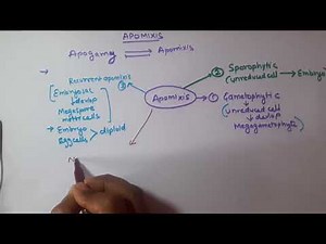 Apomixis and Different types of apomixis