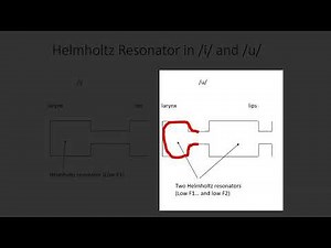 CSD3084 Tube Models of Vowels